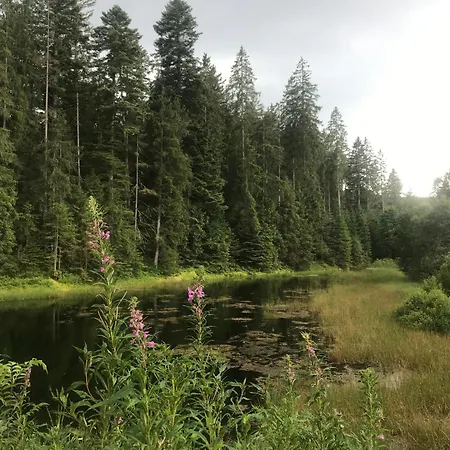 Appartamento Schulhaus