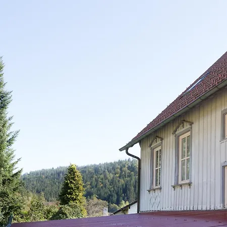 Schulhaus شقة Enzklösterle