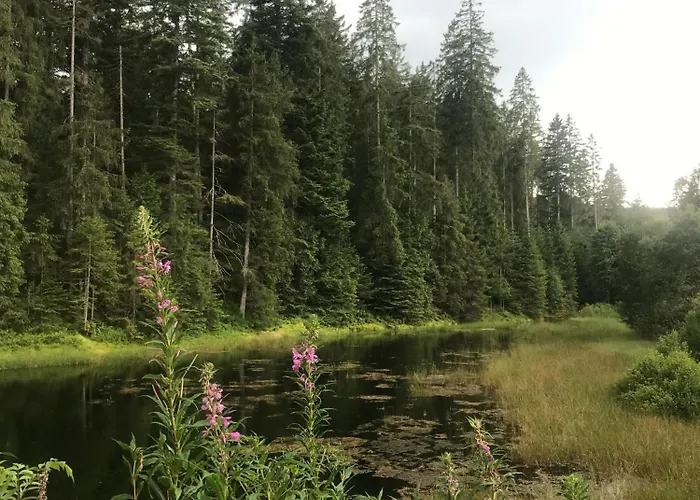 Appartement Schulhaus