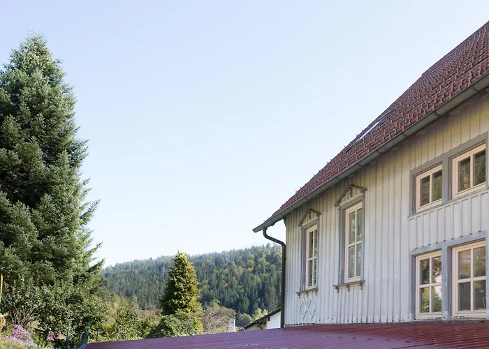 Schulhaus Appartement Enzklösterle